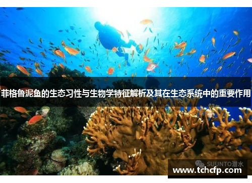 菲格鲁泥鱼的生态习性与生物学特征解析及其在生态系统中的重要作用