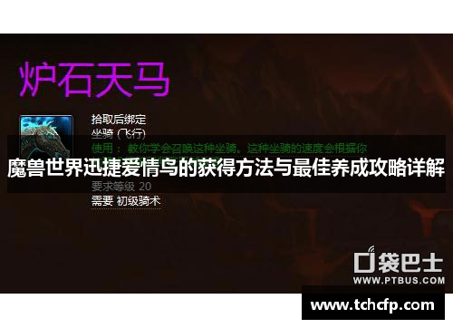 魔兽世界迅捷爱情鸟的获得方法与最佳养成攻略详解