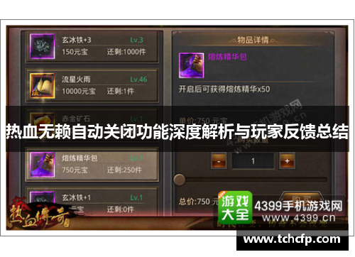 热血无赖自动关闭功能深度解析与玩家反馈总结