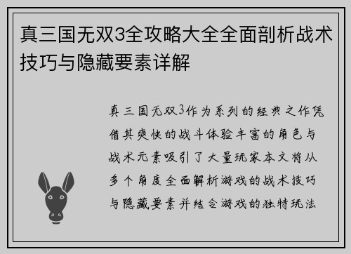 真三国无双3全攻略大全全面剖析战术技巧与隐藏要素详解